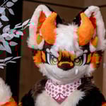 焕焰Wiling 的头像