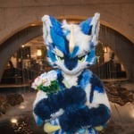 踏浪归（归归） 的头像