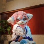 珊瑚 的头像