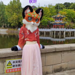 秋叶 的头像