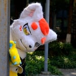 吉姆 的头像