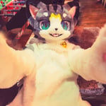 猫猫 的头像