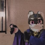 凛川 的头像