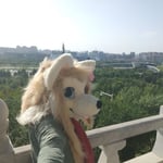 白昱 的头像