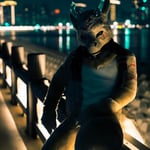 斯特 的头像