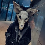 烟恶 的头像