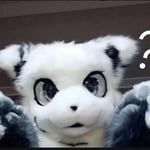 TEA茶洛洛 的头像