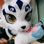 云棱 的头像