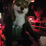 云尽 的头像