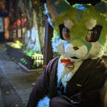 竹白 的头像