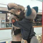 岐狼 的头像
