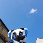 戸通户 的头像