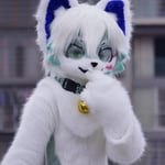 白井 的头像