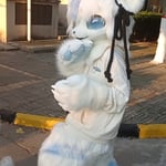 铭狸 的头像