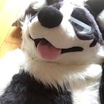 黑斑霖 的头像