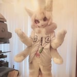 鳗 的头像