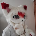 小红猫 的头像