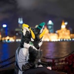 破晓风华 的头像