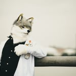 Toto Wolf 的头像