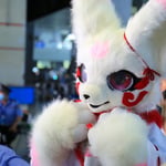 狇白 的头像