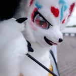白尘 的头像