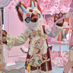 蚕豆 的头像