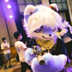 青猫 的头像