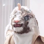 山川 的头像