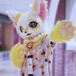 花生油 的头像