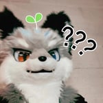 蓝斯 的头像