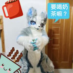 流夏 的头像