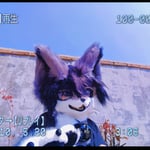 阎小罗 的头像