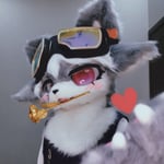 米叻 的头像