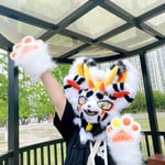 拾六 的头像
