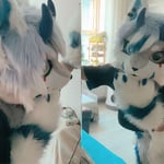 克里 的头像