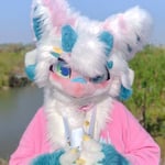 凉玖 的头像