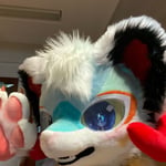 狂易 的头像