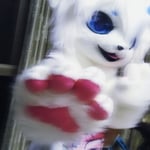 糖祁 的头像