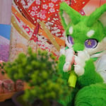 苍桐 的头像