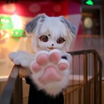 五钱 的头像