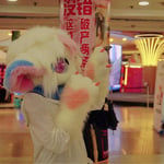 柠檬 的头像