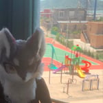 元旭 的头像