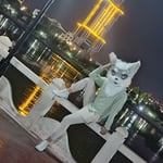 古小狼 的头像