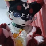 奶柴 的头像