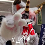 红椒 的头像