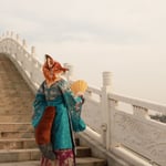 乱狐 的头像