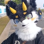 泷安 的头像