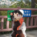 松野 的头像