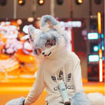 Leo 的头像