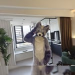 福克斯 的头像
